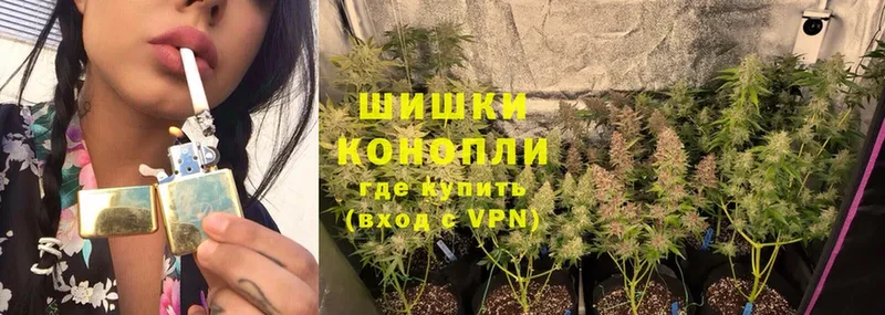 купить   Верея  Шишки марихуана Ganja 